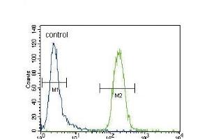 CYP3A4 Antibody (Center) ABIN392216 flow cytometric analysis of CEM cells (right histogram) compared to a negative control cell (left histogram).