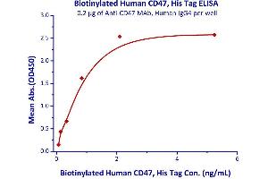 Immobilized Anti-CD47 MAb, Human IgG4 at 2μg/mL (100 μL/well) can bind Biotinylated Human CD47, His Tag  with a linear range of 0.
