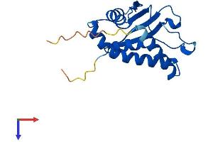 AlphaFold protein structure predicition of Mouse Recombinant Trappc3 Protein, UniprotID O55013