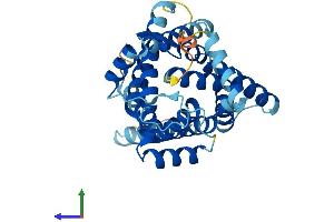 AlphaFold protein structure predicition of Mouse Recombinant Slc25a17 Protein, UniprotID O70579