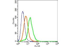 293T cells probed with GPR78 Polyclonal Antibody, ALEXA FLUOR® 488 Conjugated (bs-1807R-A488) at 1:100 for 30 minutes compared to control cells (blue) and isotype control (orange).