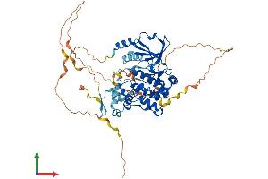 AlphaFold protein structure predicition of Human Recombinant PAK3 Protein, UniprotID O75914