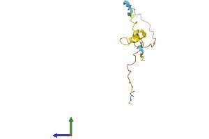 AlphaFold protein structure predicition of Human Recombinant PRM3 Protein, UniprotID Q9NNZ6