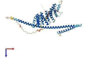 AlphaFold protein structure predicition of Mouse Recombinant Klc1 Protein, UniprotID O88447