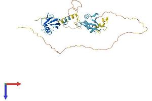 AlphaFold protein structure predicition of Mouse Recombinant Dcx Protein, UniprotID O88809