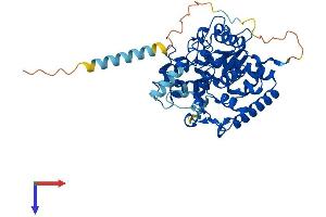 AlphaFold protein structure predicition of Mouse Recombinant Gal3st1 Protein, UniprotID Q9JHE4