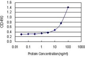 Sandwich ELISA detection sensitivity ranging from 3 ng/mL to 100 ng/mL. (IGFBP2 (Humain) Matched Antibody Pair)
