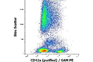Flow cytometry surface staining pattern of human peripheral blood stained using anti-human CD42a (GR-P) purified antibody (concentration in sample 1 μg/mL) GAM PE. (CD42a anticorps)
