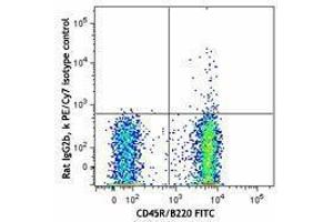 Flow Cytometry (FACS) image for anti-Chemokine (C-X-C Motif) Receptor 5 (CXCR5) antibody (PE-Cy7) (ABIN2659140)