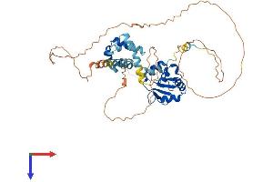 AlphaFold protein structure predicition of Human Recombinant ETS2 Protein, UniprotID P15036