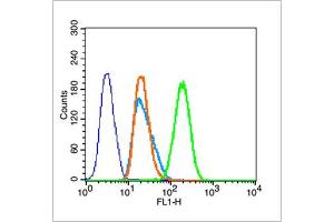 Hela cells were fixed with 70% ice-cold methanol overnight at 4℃, permeabilized with 90% ice-cold methanol for 20 min at -20℃, and incubated in 5% BSA blocking buffer for 30 min at room temperature. (Histone 3 anticorps  (pSer28))