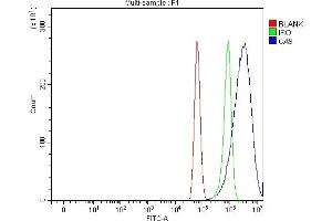 Flow Cytometry analysis of U87 cells using anti-Carbonic Anhydrase 9/CA9 antibody (ABIN7600076). (CA9 anticorps  (AA 146-414))