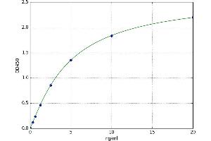 Chemokine (C-C Motif) Receptor 5 (CCR5) ELISA Kit