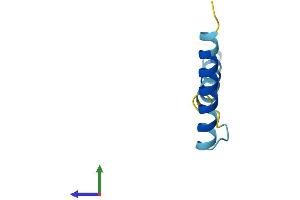 AlphaFold protein structure predicition of Human Recombinant SERF2 Protein, UniprotID P84101