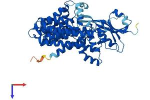 AlphaFold protein structure predicition of Human Recombinant ALG12 Protein, UniprotID Q9BV10