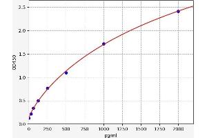 Neurotrophin 3 (NTF3) ELISA Kit