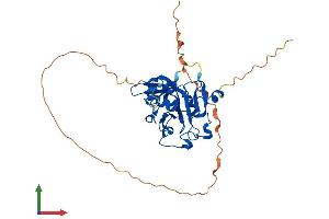 AlphaFold protein structure predicition of Mouse Recombinant Mpg Protein, UniprotID Q04841