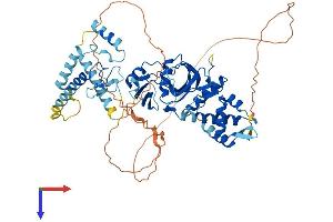 AlphaFold protein structure predicition of Mouse Recombinant Kat7 Protein, UniprotID Q5SVQ0
