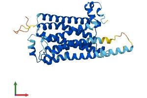 AlphaFold protein structure predicition of Mouse Recombinant Taar1 Protein, UniprotID Q923Y8