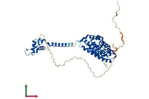 AlphaFold protein structure predicition of Mouse Recombinant Thrb Protein, UniprotID P37242