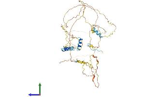 AlphaFold protein structure predicition of Mouse Recombinant Gpbp1l1 Protein, UniprotID Q6NZP2