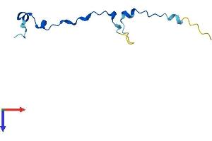 AlphaFold protein structure predicition of Mouse Recombinant Anapc13 Protein, UniprotID Q8R034