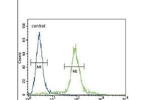ITGA11 Antibody (N-term)  flow cytometric analysis of Neuro-2a cells (right histogram) compared to a negative control cell (left histogram).