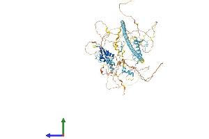 AlphaFold protein structure predicition of Mouse Recombinant Chaf1a Protein, UniprotID Q9QWF0