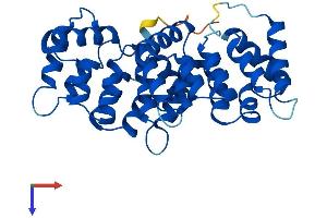 AlphaFold protein structure predicition of Human Recombinant ANXA8L1 Protein, UniprotID Q5VT79