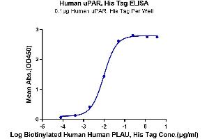 Immobilized Human uPAR, His Tag at 1 μg/mL (100 μL/well) on the plate.