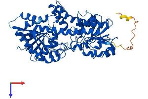 AlphaFold protein structure predicition of Human Recombinant UGDH Protein, UniprotID O60701