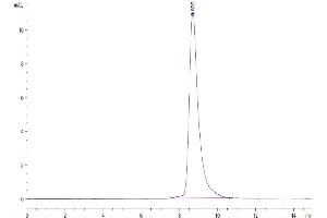 The purity of Cynomolgus uPAR is greater than 95 % as determined by SEC-HPLC.