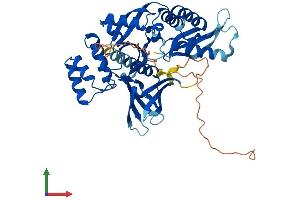 AlphaFold protein structure predicition of Human Recombinant SNX31 Protein, UniprotID Q8N9S9