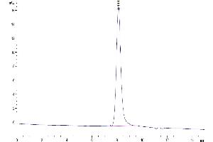 The purity of Mouse NOGOR is greater than 95 % as determined by SEC-HPLC.