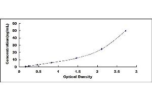 Typical standard curve