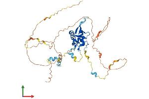 AlphaFold protein structure predicition of Mouse Recombinant Foxh1 Protein, UniprotID O88621