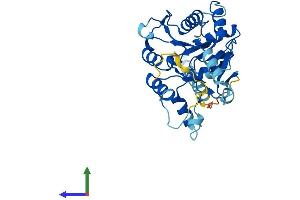AlphaFold protein structure predicition of Mouse Recombinant C1galt1c1 Protein, UniprotID Q9JMG2