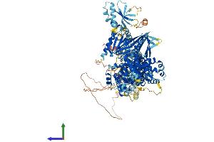 AlphaFold protein structure predicition of Human Recombinant TBC1D8 Protein, UniprotID O95759