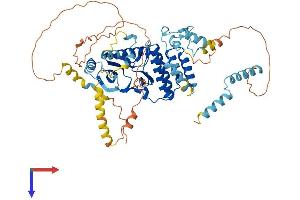AlphaFold protein structure predicition of Human Recombinant RIOK1 Protein, UniprotID Q9BRS2