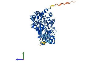 AlphaFold protein structure predicition of Mouse Recombinant Aldh3b3 Protein, UniprotID J3QMK6