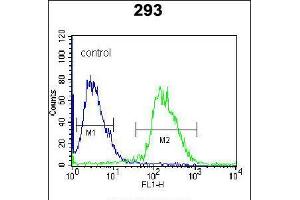 Flow cytometric analysis of 293 cells (right histogram) compared to a negative control cell (left histogram). (Dual Specificity Phosphatase 3 (DUSP3) (AA 157-185), (C-Term) anticorps)