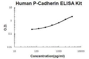 Human P-Cadherin PicoKine ELISA Kit standard curve (P-Cadherin Kit ELISA)