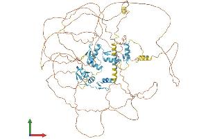 AlphaFold protein structure predicition of Human Recombinant BCL11A Protein, UniprotID Q9H165