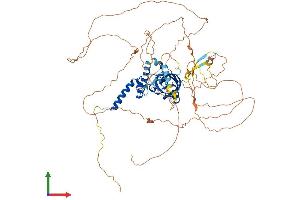 AlphaFold protein structure predicition of Mouse Recombinant Ahrr Protein, UniprotID Q3U1U7