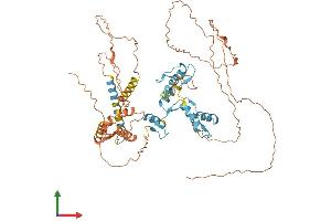 AlphaFold protein structure predicition of Human Recombinant ZNF131 Protein, UniprotID P52739