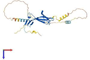 AlphaFold protein structure predicition of Mouse Recombinant Eaf2 Protein, UniprotID Q91ZD6