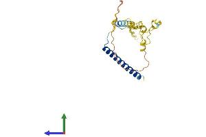 AlphaFold protein structure predicition of Human Recombinant MBD3L3 Protein, UniprotID A6NE82