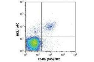 anti-NK-1.1 antibody (APC)