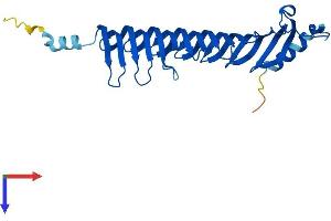 AlphaFold protein structure predicition of Mouse Recombinant Morn3 Protein, UniprotID Q8C5T4