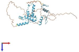 AlphaFold protein structure predicition of Human Recombinant ZNF396 Protein, UniprotID Q96N95